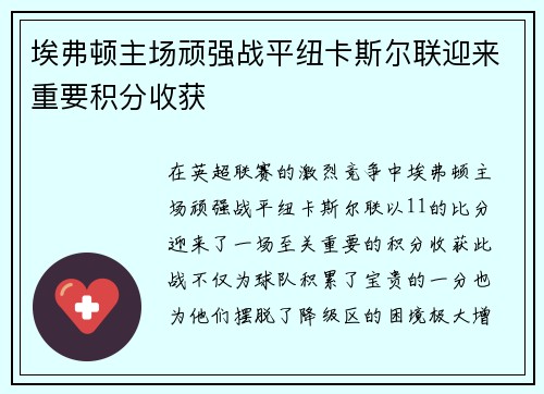 埃弗顿主场顽强战平纽卡斯尔联迎来重要积分收获
